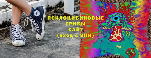 шишки Бронницы